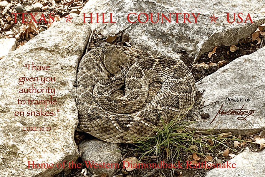 Nestled Rattlesnake Postcard