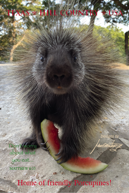 Happy Porcupine Postcard by Max Greiner Art.com