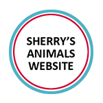 Sherry Greiner's Animals